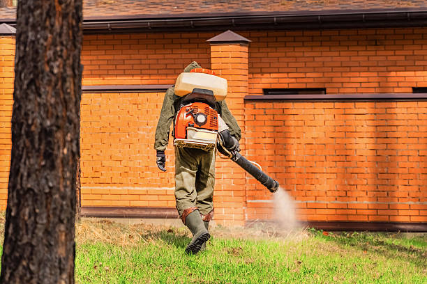 Trusted Termite Control service in Cottage Grove, MN - Nex Pest Control